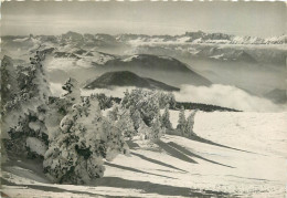 Delcampe - 38 - CHAMROUSSE - Chamrousse