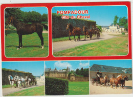 Delcampe - Pompadour - Cité Du Cheval ; Château - Arnac Pompadour