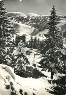 Delcampe - 38 - CHAMROUSSE - Chamrousse