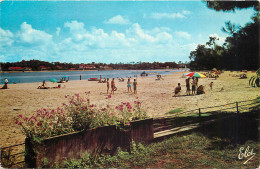 Delcampe - 40 - HOSSEGOR - Hossegor