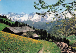 Delcampe - 74 MEGEVE HIVER - Megève