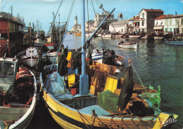 Delcampe - 30 LE GRAU DU ROI BATEAUX PECHEURS A QUAI - Le Grau-du-Roi