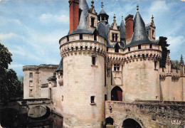 Delcampe - 86 CHATELLERAULT CHATEAU DE DISSAY - Chatellerault