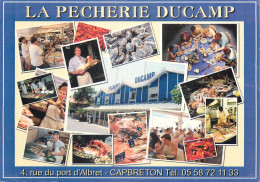 Delcampe - 40 - CAPBRETON - LA PECHERIE DUCAMP - Capbreton