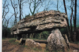 Delcampe - 86 CIVRAY LE DOLMEN DE LA PIERRE PESE - Civray