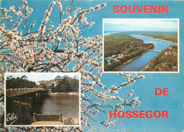 Delcampe - 40 - HOSSEGOR - Hossegor