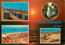 Delcampe - 40 - BISCARRROSSE - Biscarrosse