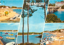 Delcampe - 40 - HOSSEGOR - Hossegor