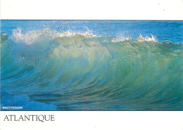 Delcampe - 40 - HOSSEGOR - Hossegor