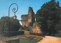 Delcampe - 61 DOMFRONT RUINES DE L ANCIEN DONJON - Domfront