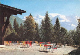 Delcampe - 74 PASSY LE LAC VERT - Passy