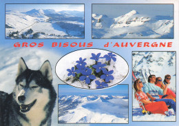 Delcampe - 15 MURAT MONTS D AUVERGNE - Murat