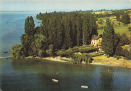 Delcampe - 74 MESSERY LA POINTE ET LE LAC LEMAN - Messery