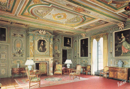 Delcampe - 41 CHEVERNY LE CHATEAU - Cheverny