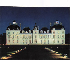Delcampe - 41 CHEVERNY LE CHATEAU DE CHEVERNY - Cheverny