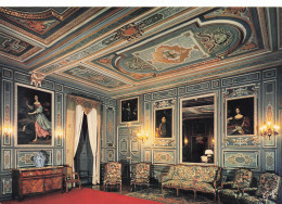 Delcampe - 41 CHEVERNY LE GRAND SALON CHATEAU DE CHEVERNY - Cheverny