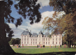Delcampe - 41 CHEVERNY LE CHATEAU DE CHEVERNY - Cheverny