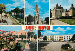 Delcampe - 41 - LAMOTTE BEUVRON - Lamotte Beuvron