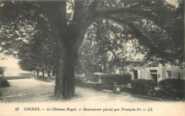 Delcampe - 37 - LOCHES - Loches