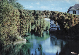 Delcampe - 64 LESTELLE BETHARRAM LE VIEUX PONT - Lestelle-Bétharram