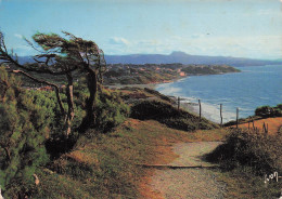 Delcampe - 64 BIDART VILLAGE BASQUE SUR LA MER - Bidart