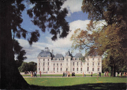 Delcampe - 41 CHEVERNY LE CHATEAU DE CHEVERNY - Cheverny