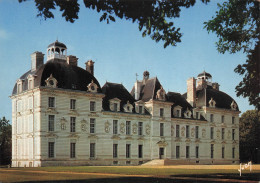 Delcampe - 41 CHEVERNY LE CHATEAU - Cheverny