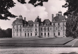 Delcampe - 41 CHEVERNY LE CHATEAU - Cheverny