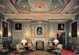 Delcampe - 41 CHEVERNY CHATEAU DE CHEVERNY - Cheverny