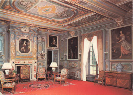 Delcampe - 41 CHEVERNY LE CHATEAU DE CHEVERNY - Cheverny