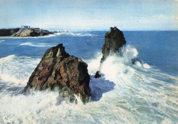 Delcampe - 34 AGDE LES ROCHERS DES DEUX FRERES - Agde