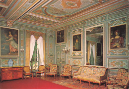 Delcampe - 41 CHEVERNY LE CHATEAU - Cheverny