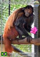 Delcampe - 01960 WZD • ZOO - Centro Primatologia Do Rio De Janeiro, BR - Black-headed Uacari (Cacajao Hosomi) - Rio De Janeiro