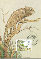 Delcampe - 22601a Carte Maximum - Portugal - Camaleao - Chamaeleo Chamaeleon - Chameleon - Andere & Zonder Classificatie