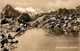 Delcampe - Nägelisgrätliseeli Mit Berneralpen (2443) - Obergoms