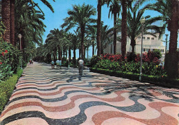 Delcampe - ESPAGNE ALICANTE EXPLANADA DE ESPANA - Sonstige & Ohne Zuordnung