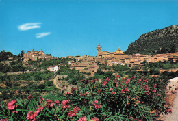 Delcampe - ESPAGNE VALLDEMOSSA VISTA GENERAL - Sonstige & Ohne Zuordnung