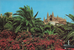 Delcampe - ESPAGNE PALMA DE MAJORQUE JARDINS ET CATHEDRALE - Sonstige & Ohne Zuordnung