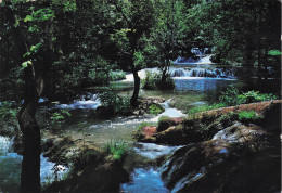 Delcampe - ESPAGNE MONASTERIO DE PIEDRA LOS VADILLOS ZARAGOZA - Sonstige & Ohne Zuordnung
