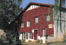 Delcampe - 64 ESPELETTE FERME TRIPOTX BORDA - Espelette