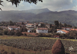 Delcampe - 64 ASCAIN LA RHUNE - Ascain