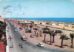 Delcampe - ESPAGNE GANDIA PLAYA PASEO DE NEPTUNO - Sonstige & Ohne Zuordnung