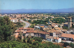 Delcampe - 83 LE LUC VUE GENERALE - Le Luc