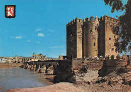 Delcampe - ESPAGNE CORDOUE PONT ROMAIN ET FORTERESSE CALAHORRA - Sonstige & Ohne Zuordnung