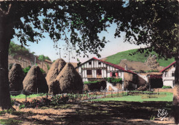 Delcampe - 64 BIDARRAY FERME BASQUE TYPIQUE - Bidarray