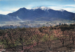 Delcampe - 66 PRADES PRADES ET LE MASSIF DU CANIGOU - Prades