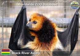 Delcampe - 01925 WZD • ZOO - Black River Aviary (G. Durell Endemic W. Sanctuary),MU - Greater Mascarene Flying Fox (Pteropus Niger) - Maurice