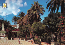 Delcampe - ESPAGNE CADIZ ALAMEDA DEL MARQUES DE COMILLAS PAPELERIA DEL MARQUES DE - Sonstige & Ohne Zuordnung