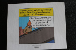 Delcampe - Ex-Libris-Tintin-Trois Dessins De Hergé - Extrait De Tintin En Amérique - Planche 62 Strip/3-4-5-Dim:240x193mm - Ilustradores G - I