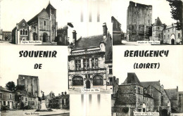Delcampe - 45 - BEAUGENCY - Beaugency